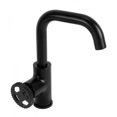 Juodas praustuvo maišytuvas REA Vertigo Side black