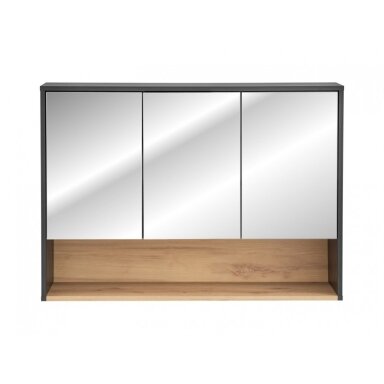 Veidrodinė pakabinama vonios spintelė 60 / 100 / 120 cm